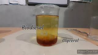 How to make biodiesel [upl. by Berriman]