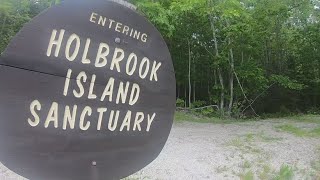 Boattowalking tour teaches value of plant life on Maine island [upl. by Mcadams862]