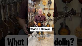 What is a mandolin Sharing the history amp how the design has changed over the past 600ish years [upl. by Bernadette]