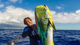 Quick Draw  Spearing MahiMahi from moving boat [upl. by Adebayo]