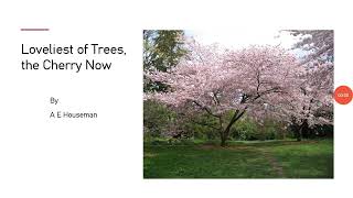 Loveliest of Trees the Cherry Now by A E Houseman from Book III [upl. by Ayikur206]