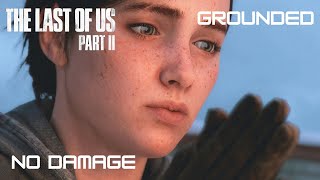 The Last of Us 2 Badass Agressive Gameplay  Ellie  Jackson GroundedNo Damage [upl. by Sira503]