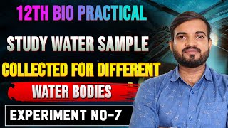 Study the water sample Collected from Different water bodies  12th Biology practical12thpractical [upl. by Marguerie315]