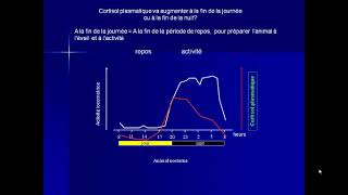 vidéo 3 rythme et cycle biologique module éthologie partie 2 [upl. by Madea892]