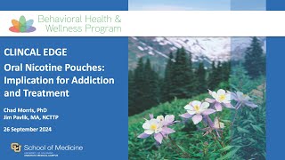 Oral Nicotine Pouches Implications for Addiction and Treatment [upl. by Annabelle175]