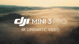 Skyview 3  DJI MINI 3 PRO Cinematic 4K Swedish nature photography [upl. by Jaquenette]