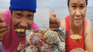 Sea urchin Mukbang  BisdakVL160 [upl. by Etnuad]