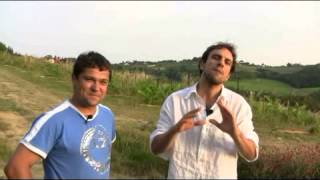 Cosimo Maria Masini Exploring a Biodynamic Vineyard in Tuscany [upl. by Krid]