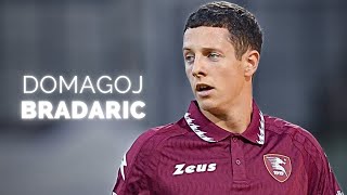 Domagoj Bradarić  Season Highlights  2024 [upl. by Honniball]