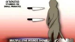 Multiple Stab Wounds May Be Harmful To Monkeys [upl. by Irehs265]