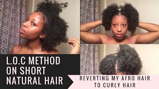 LOC Method on Short Natural Hair [upl. by Eramal932]