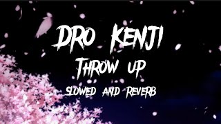 Dro Kenji  Throw Up slowed and reverb [upl. by Zullo744]