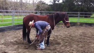 Helping a horse with hind feet issues [upl. by Cass]