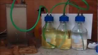 Sodium hypochlorite synthesis through electrolysis [upl. by Brunn]