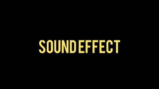 Deez Nuts  Sound Effect HD DOWNLOAD [upl. by Eenyaj]