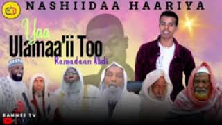 new nashiidaa harawa munshid Ramadaan Abdii yaauulaamaatoo jattu tana like sher sabasciraaib God [upl. by Ailatan]