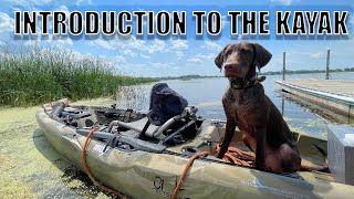 INTRODUCTION TO THE KAYAK [upl. by Aldas155]