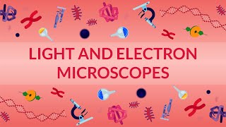 WHAT ARE LIGHT AND ELECTRON MICROSCOPES  HOW DO THEY WORK [upl. by Allbee]