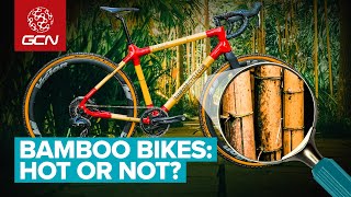 Are Bamboo Bikes Actually Any Good [upl. by Ayekahs81]