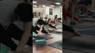 Wheel yoga with Himanshu for weight lose  Adjustment  alignment [upl. by Etteyniv751]