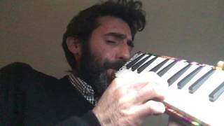 Dark Eyes  Gypsy Jazz  Melodica Cover [upl. by Kaye]