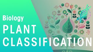 Plant Classification  Evolution  Biology  FuseSchool [upl. by Ahtiekahs]