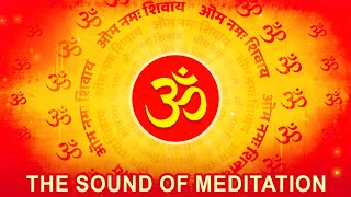 OM संगीत  The Power of Chanting Om in Nature  tubestory meditation [upl. by Carper]