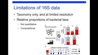 16S rRNA gene sequencing [upl. by Assilym]