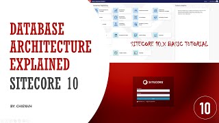 06Sitecore Database Architecture Explained  Sitecore 10 Basic Tutorial [upl. by Giguere262]