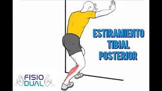 Estiramiento TIBIAL POSTERIOR [upl. by Melentha476]