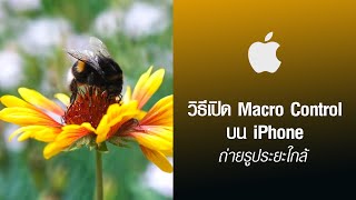 วิธีเปิด Macro Control บน iPhone ถ่ายรูประยะใกล้ [upl. by Augustine]