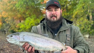 October Steelhead Fishing Erie Pa2024 [upl. by Lehar396]