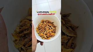 നാടൻ ചക്കക്കുരു മാങ്ങ ചെമ്മീന്‍ കറിChakkakkuru Maanga chemmeen curry malayalam ❤️ [upl. by Torbert10]