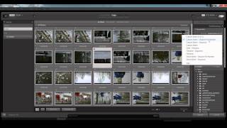 Lightroom Kuvien Siirto Kameralta [upl. by Dominick]