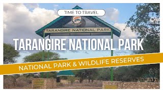 African Wildlife Adventure Tarangire National Park Tanzania [upl. by Naid138]