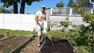 This Ancient and Highly Efficient Composting Method Will Change How You Garden [upl. by Hong]