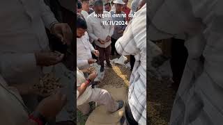 talaja tally rajkot gondal botad amreli farming groundnut news navratri comedy film uk [upl. by Adoh]