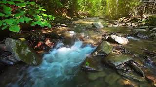 Música Para Relajarse com Flauta Indigena y Sonidos de la Naturaleza  Relajar la Mente y Dormir [upl. by Adieren]