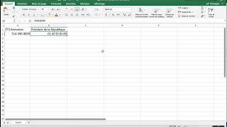 Excel modifier un format spécial [upl. by Ahsiuq]