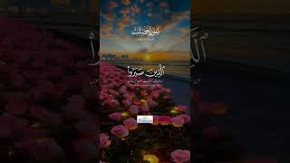 Surah Fussilat  beautiful recitation of Quran fatimaaofficial surahfussilat quran [upl. by Esekram660]