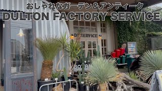 おしゃれなガーデン＆アンティーク ダルトン ファクトリー サービス 町田店 全て欲しくなる商品力。チャンネル登録ありがとうございます🥹高評価ありがとうございます🥹 [upl. by Earley]