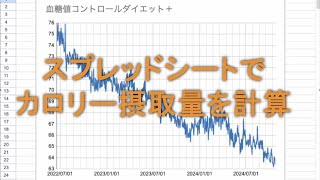 11キロ減量した私のカロリー計算方法（スプレッドシート使用） [upl. by Goulette28]