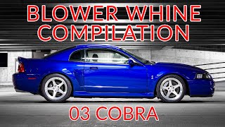 Supercharger Whine Compilation  03 SVT Cobra  Eaton amp Whipple [upl. by Bergen]