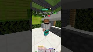 Im an expert at lowballing in Hypixel Skyblock hypixel hypixelskyblock minecraft [upl. by Ahsym94]