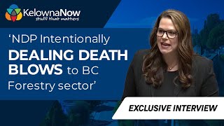 NDP intentionally dealing death blows to BC forestry sector Kelowna MLA says [upl. by Boiney26]