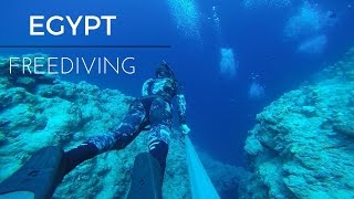 Freediving  Egypt Dahab  GoPro [upl. by Lilybel]