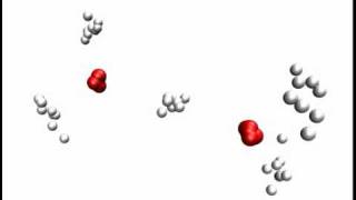 Pathintegral molecular dynamics simulation of H5O2 in gas phase [upl. by Eardnoed207]