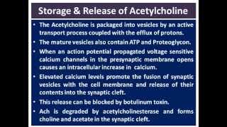 Acetylcholine  CBL [upl. by Ramiah]