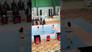 karate shorts group kata [upl. by Hadias]