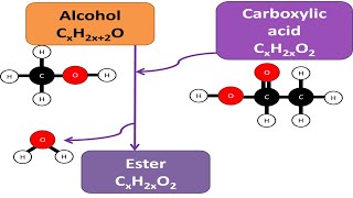 Esterification [upl. by Nilorac467]